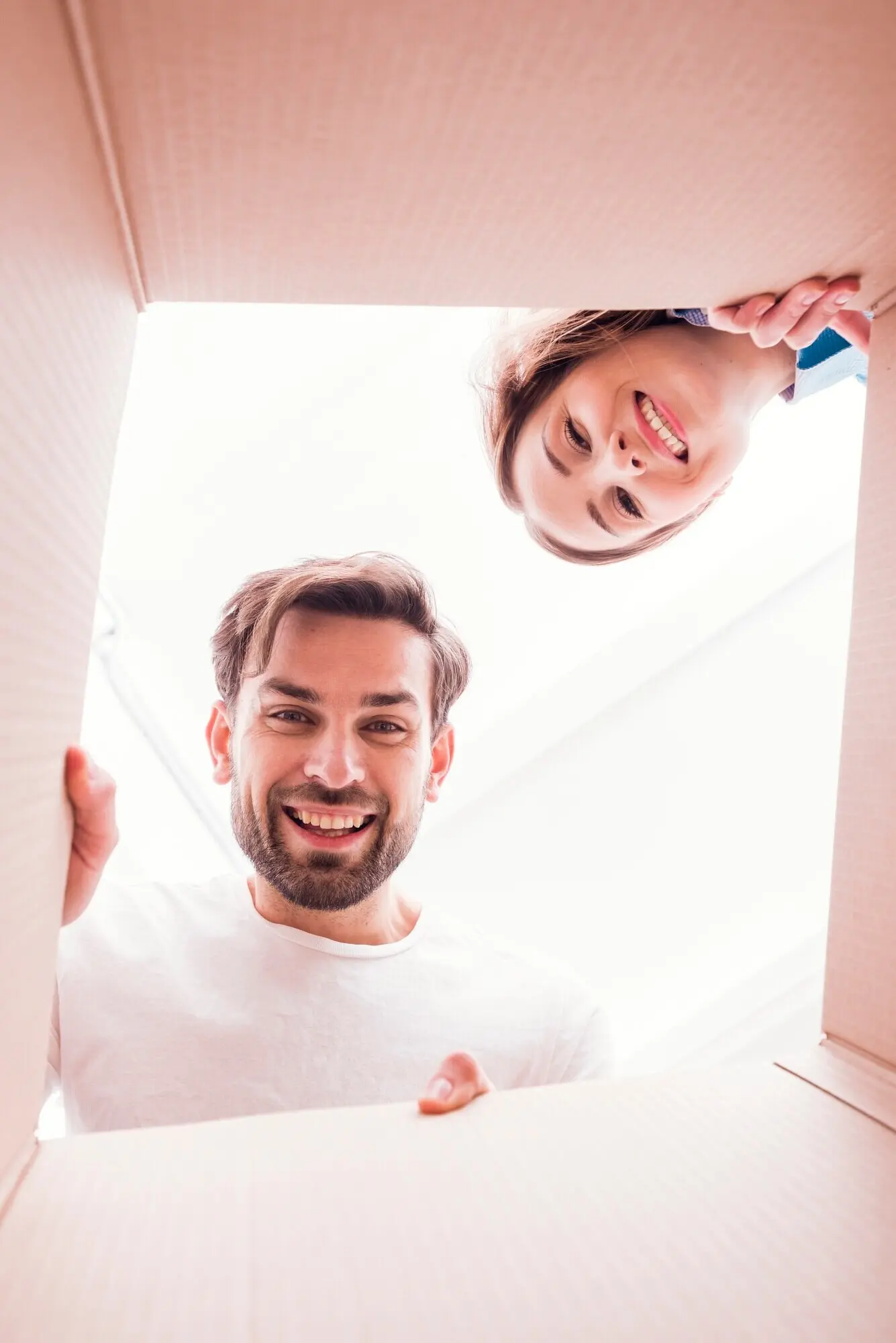 Любопытная пара, вид изнутри со дна коробки.